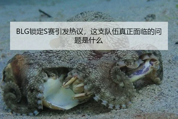 BLG锁定S赛引发热议，这支队伍真正面临的问题是什么